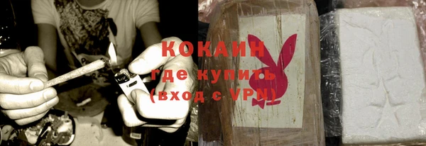крисы Белокуриха