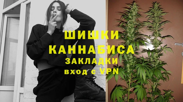 крисы Белокуриха
