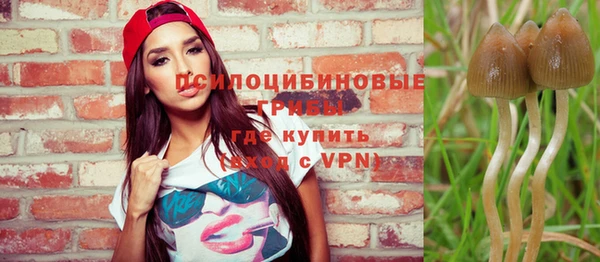 дмт Беломорск