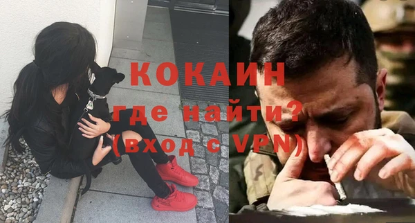 крисы Белокуриха