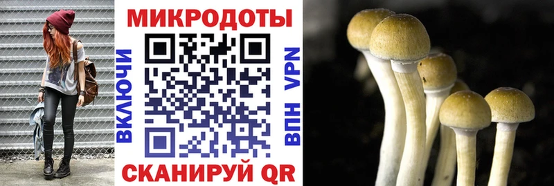 Псилоцибиновые грибы ЛСД  mega сайт  Красновишерск 
